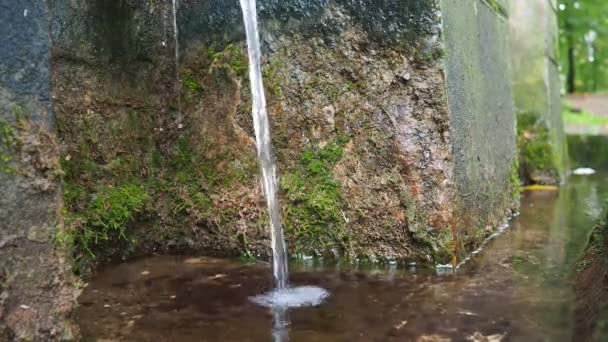Banja Koviljaca Serbia Guchevo Loznica Primavera Tres Fuentes Sanación Agua — Vídeos de Stock