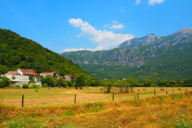 Zelenika, Snezhnitsa dağı, Herceg Novi, Karadağ, 10 Ağustos 2022. Kurumuş otlu bir vadi, yaz sonu otlağı. Dağlar Snezhnitsa. Yükseklik, iklimsel bölge. Yerleşim yerleri