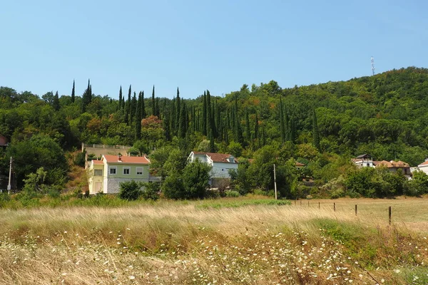 Zelenika Snezhnitsa Mountain Herceg Novi Montenegro August 2022 有枯草的山谷 夏末的牧场 — 图库照片