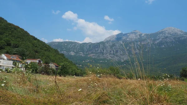 Zelenika Montagne Snezhnitsa Herceg Novi Monténégro Août 2022 Vallée Avec — Photo