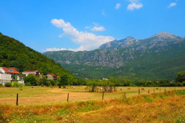 Zelenika, Snezhnitsa dağı, Herceg Novi, Karadağ, 10 Ağustos 2022. Kurumuş otlu bir vadi, yaz sonu otlağı. Dağlar Snezhnitsa. Yükseklik, iklimsel bölge. Yerleşim yerleri