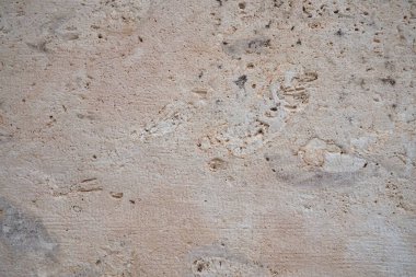 Kabuk kayası tortulu bir kayadır. Kireç taşının bir çeşidi. Bir bütün ve ezilmiş deniz hayvanlarından oluşuyor. Tek mineralli gözenekli kaya. Kalsit ve doğal kirlilikten oluşur..