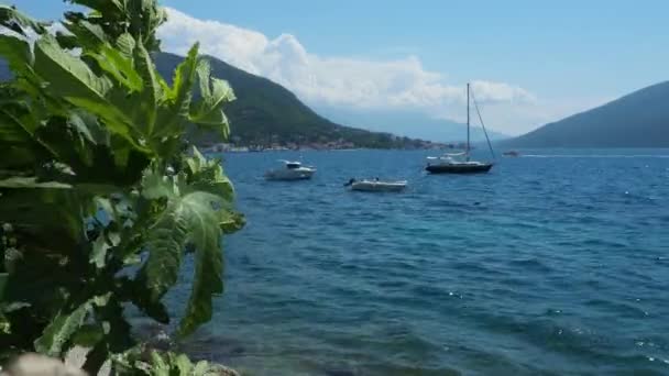 Herceg Novi Чорногорія 2022 Морська Відпустка Подорожі Човни Плавають Адріатичному — стокове відео