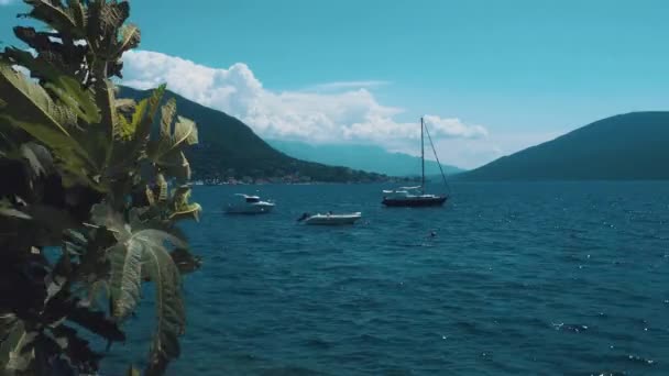 Herceg Novi Montenegro 2022 Vacaciones Mar Paseos Barcos Flotan Mar — Vídeo de stock