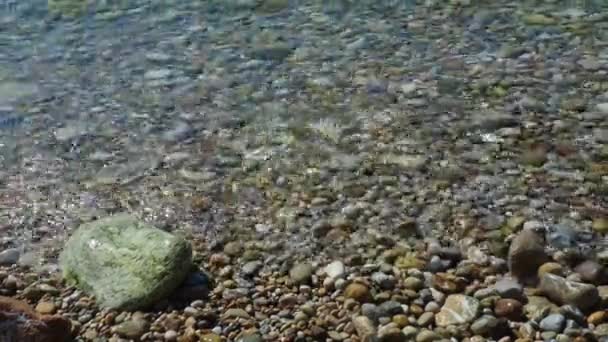 ビーチ小石の海の波 小石を洗って海の波の美しいクローズアップ映像 モンテネグロのロッキー高原 Herceg Novi 澄んだ水の動き 夏休み — ストック動画