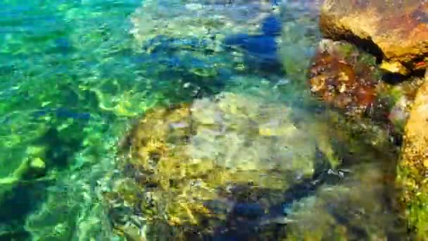 Hijau Azure Turquoise Biru Transparan Tekstur Air Laut Garam Tampilan — Stok Video