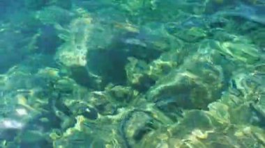 Yeşil mavi turkuaz şeffaf deniz tuzlu su dokusu. Su yüzeyi ve dalgalar. Su dalgaları arka planda. Alglerle kayalık taban. Sığ suda gel-git