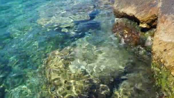 Зеленый Лазурный Бирюзовый Синий Прозрачный Морской Соленой Воды Текстуры Вид — стоковое видео