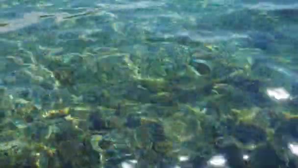 Zelená Azurová Tyrkysově Modrá Průhledná Struktura Moře Povrch Vody Vlnky — Stock video
