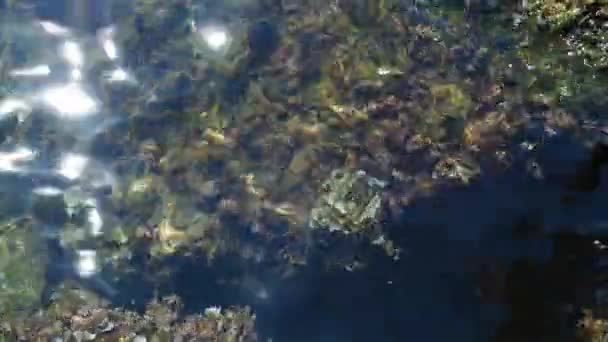 Deniz Dalgaları Kumsalda Çakıl Taşları Taşları Yıkayan Deniz Dalgalarının Güzel — Stok video