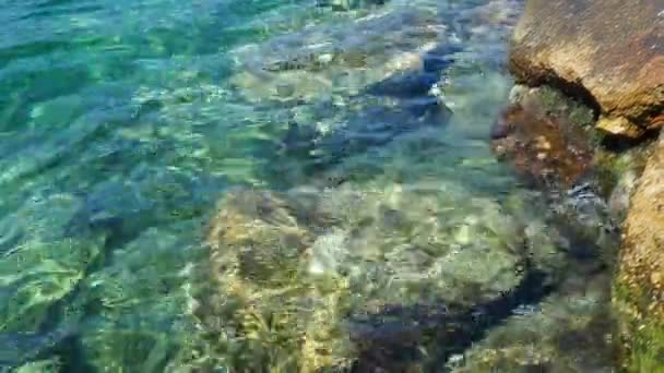 Grün Azurblau Türkis Blau Transparent Meersalzwasser Textur Blick Von Oben — Stockvideo