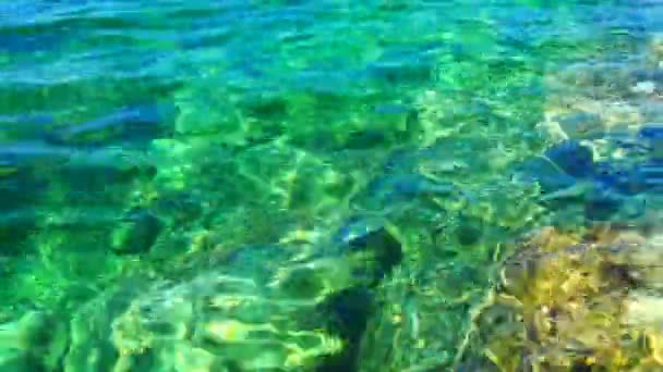 Vert Azur Turquoise Bleu Transparent Texture Eau Salée Mer Vue — Video
