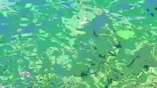 さざ波状の水を連想させる超抽象的なシフトの背景 緑の紺碧のターコイズブルーの透明な海の水のテクスチャ トップビューの水の表面と波紋 手描きの漫画アニメーション — ストック動画