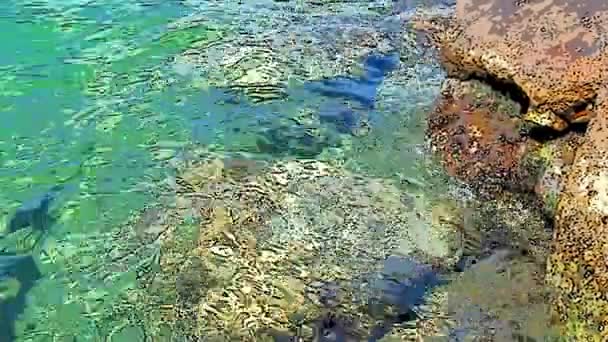 さざ波状の水を連想させる超抽象的なシフトの背景 緑の紺碧のターコイズブルーの透明な海の水のテクスチャ 波は岩礁に衝突する 手描きの漫画アニメーション — ストック動画
