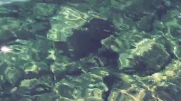 Yeşil Mavi Turkuaz Şeffaf Deniz Tuzlu Dokusu Retro Tarzı Yüzeyi — Stok video
