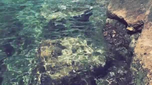 緑の紺碧のターコイズブルーの透明海塩水の質感 レトロなスタイル 水面と波紋 海の波の背景 藻のいる岩の底は結晶水を通して見える — ストック動画
