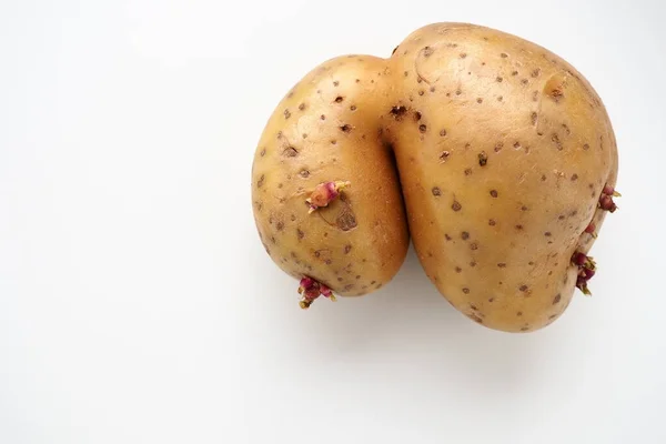 Ugly Potatoes White Background Unnormal Vegetable Zero Waste Irregular Shaped —  Fotos de Stock