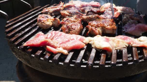 Ψητό Ζουμερό Χοιρινό Κρέας Μπριζόλες Κάρβουνα Καύση Σχάρα Μπάρμπεκιου Φλόγες — Αρχείο Βίντεο