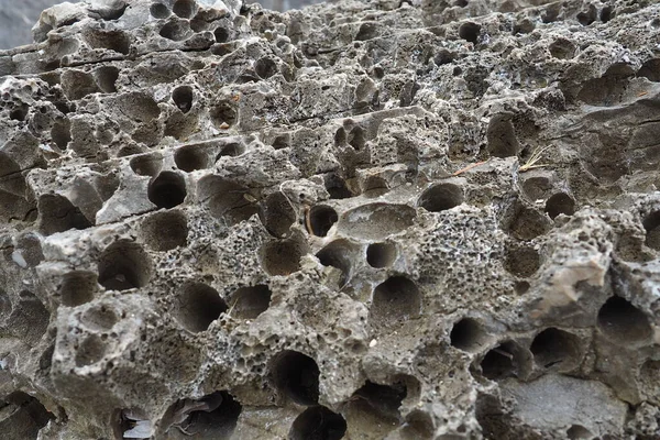 火山石 スポンジ状細胞緩い風通しの良い多孔質石材料 モンテネグロのHerceg Novi Meljine付近の閉山岩 固化した溶岩の穴 アドリア海地中海地域の灰色の黒い岩 — ストック写真