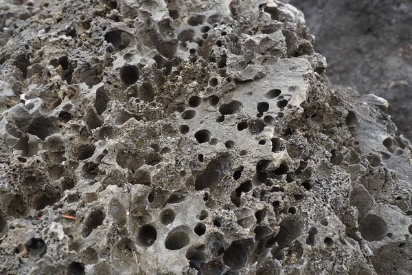 火山石 スポンジ状細胞緩い風通しの良い多孔質石材料 モンテネグロのHerceg Novi Meljine付近の閉山岩 固化した溶岩の穴 アドリア海地中海地域の灰色の黒い岩 — ストック写真