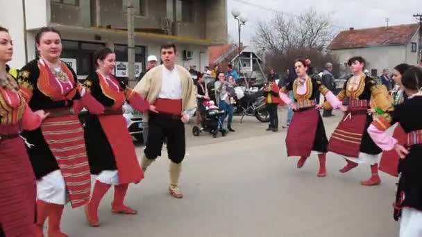 Сремска Митровица Сербия Девушки Мальчики Традиционных Сербских Балканских Костюмах Танцуют — стоковое видео