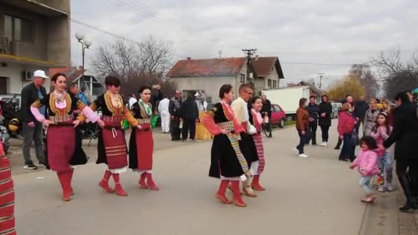 Сремска Митровица Сербия Девушки Мальчики Традиционных Сербских Балканских Костюмах Танцуют — стоковое видео