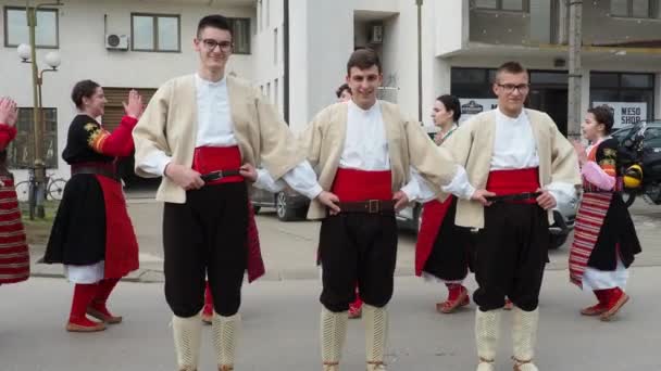 Sremska Mitrovitsa Serbien Flickor Och Pojkar Traditionella Serbiska Balkankostymer Dansar — Stockvideo