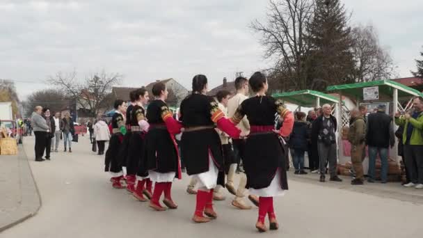 Sremska Mitrovitsa Srbsko Dívky Chlapci Tradičních Srbských Balkánských Kostýmech Tančí — Stock video