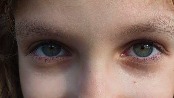 少女ティーンエイジャー白人ブロンド9歳 顔を閉じると 目に焦点を当てます 子供たちの視線は灰色の緑の目 健康な日焼け肌 肯定的な感情 メイクなしの優しい顔 レンズ広告 — ストック動画