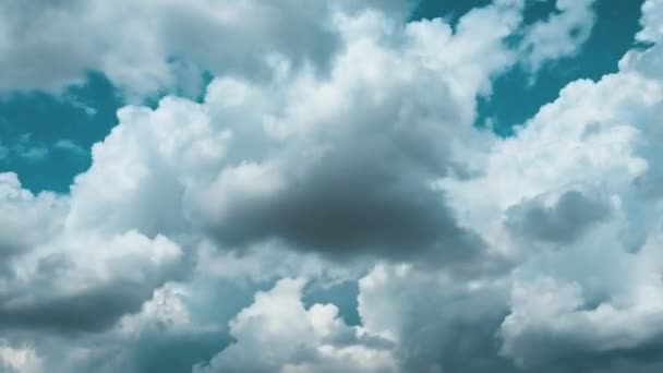 Cielo Azul Con Nubes Blancas Grises Movimiento Rápido Las Nubes — Vídeos de Stock