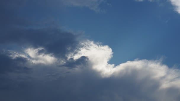 Tormenta Fuerte Viento Los Rayos Del Sol Detrás Las Nubes — Vídeo de stock