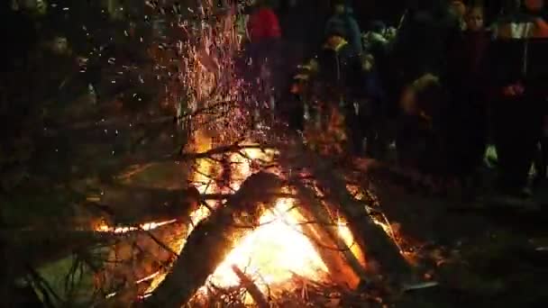 Sremska Mitrovica January 2022 Burning Sacred Oak Tree Stake Front — Αρχείο Βίντεο