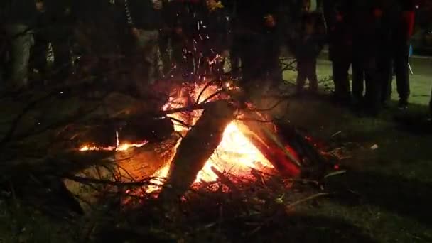 Sremska Mitrovica January 2022 Burning Sacred Oak Tree Stake Front — Stockvideo