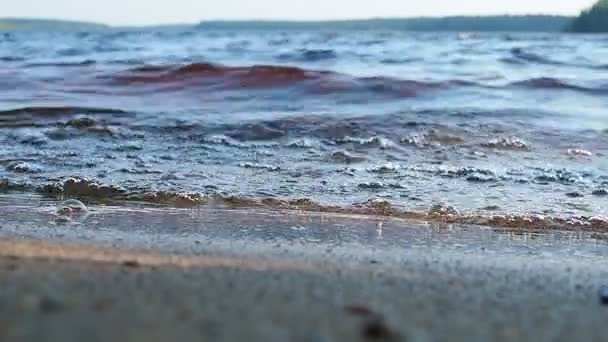 洛桑斯卡伊 Lososinskoye Lososinnoye Lohijarvi 是卡累利阿共和国普里奥涅茨基地区的一个湖泊 傍晚时分 海浪在沙滩上冲撞 浪花飞溅 浪花飞溅 浪花飞溅 — 图库视频影像