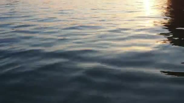 Синя Текстура Блакитної Води Зверху Вниз Водна Поверхня Які Хвилі — стокове відео