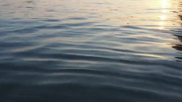 Синяя Лазурная Текстура Воды Сверху Вниз Поверхность Воды Мягкие Волны — стоковое видео