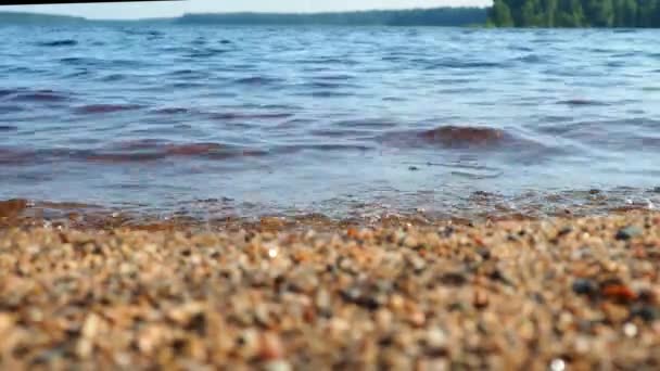 Lososinskoye Lososinnoye Lago Lohijarvi Carélia Ondas Batendo Costa Arenosa Durante — Vídeo de Stock