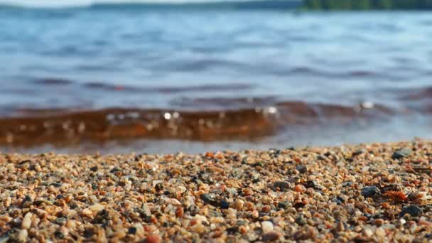 Wellen Prasseln Der Goldenen Stunde Auf Das Sandige Ufer Konzentrieren — Stockvideo