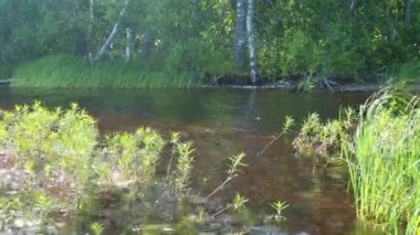 Bataklık, aşırı nem, nemli yaşam alanı örtüsü ve hidrosferi olan bir manzara alanıdır. Bataklık bilimi. Karelia, Lososinnoe Gölü bataklığı. Bataklıklar sera etkisini engeller.