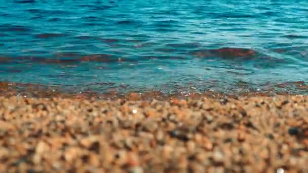 Wellen Prasseln Der Goldenen Stunde Auf Das Sandige Ufer Konzentrieren — Stockvideo