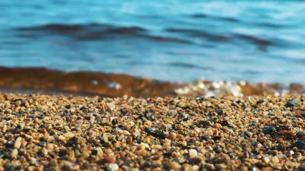 Волны Падают Песчаный Берег Золотой Час Сосредоточься Кварцевом Грубом Песке — стоковое видео