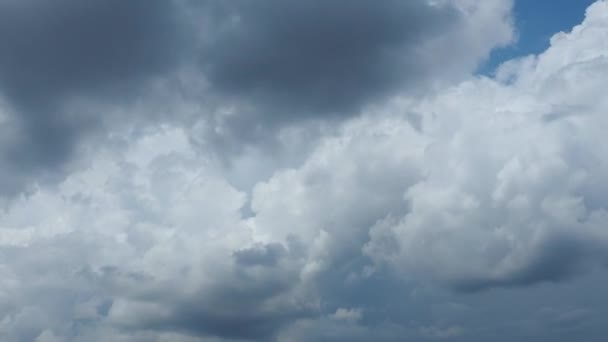 青い空白と灰色の雲 ふわふわした白い雲 カンクルス雲の雲の風景のタイムラプス 夏のスカイタイムが無くなりました 自然の天気青空 雨雲の背景について クラウドタイムエラービデオ ストーム — ストック動画