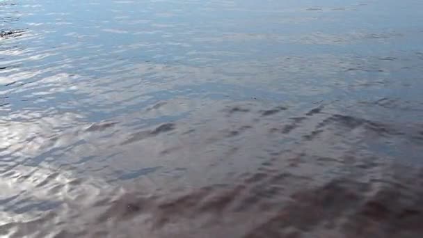 在风的影响下 海洋的波动 蓝色的夜晚 日落娱乐水的运动 卡累利阿 洛索斯诺湖 波浪与波纹 — 图库视频影像