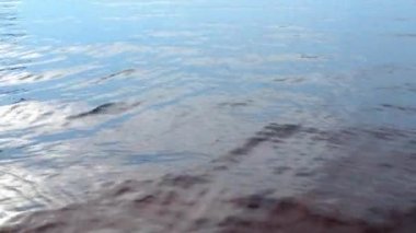 Dalga, heyecan. Rüzgarın etkisiyle bir gölün, denizin ve okyanusun yüzeyinde dalgalanma. Mavi saat akşamı. Günbatımı eğlence amaçlı su hareketi. Losossinnoe Gölü, Karelia. Dalgalar ve dalgalar.