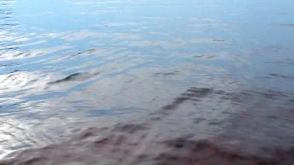 風の影響下の海の表面の変動 ブルータイムの夜 サンセットレクリエーションウォータームーブメント カレリア湖 波とリップル — ストック動画