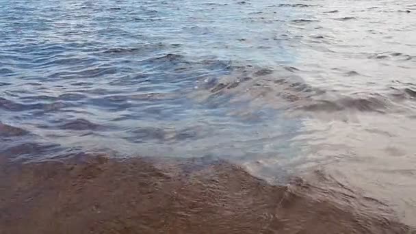 Волна Волнение Колебания Поверхности Озера Моря Воздействием Ветра Голубой Час — стоковое видео