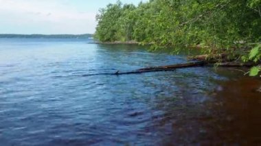 Lososinnoye Gölü kıyısında, Karelia. Tayga ekosistemi. Sudaki dalgalanmalar. Karelia 'nın vahşi bölgelerinde turizm ve dinlenme. Balık avlamak için balık ambarları. Rüzgar esiyor. Turna ve kunduz yaşam alanları.