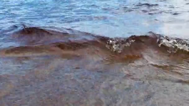 Рекреационное Движение Воды Озеро Лососсиное Карелия Волны Рябь Колебания Поверхности — стоковое видео