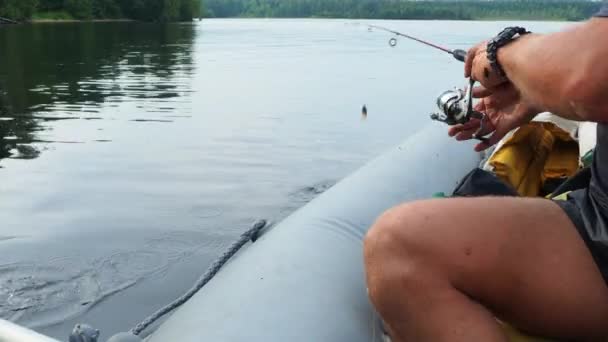 アマチュア夏の釣り 毛深い足と腕を持つ漁師は ボートに座り ホックし カレリアのロス ギョレイ湖の水から魚を引っ張ります パイクの生息地 ハンドロッド回転 ルアーとフィッシングライン — ストック動画