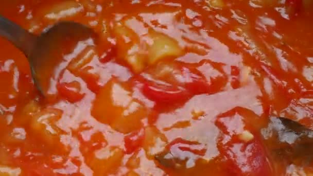 Plato Tradicional Hungría Serbia Becharats Sataras Verduras Hervidas Tomates Cebollas — Vídeos de Stock